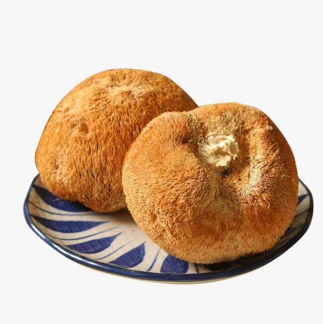 Hericium Erinaceus Drying Process